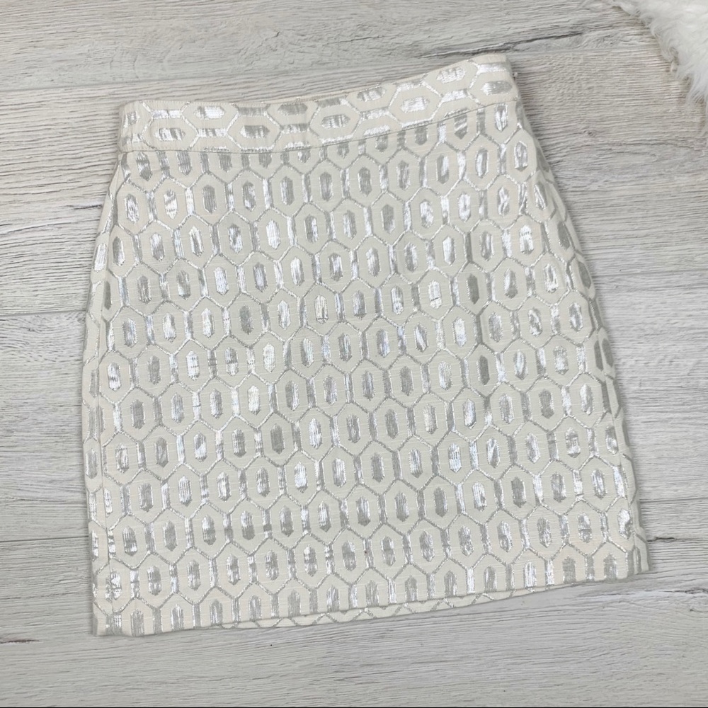 NWT Banana Republic Metallic Embroidered Skirt